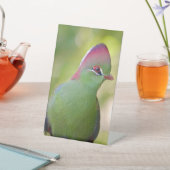 Closeup turaco of fischer reclamebord met voetstuk (Insitu)