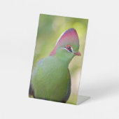Closeup turaco of fischer reclamebord met voetstuk (Voorkant)