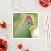 Closeup turaco of fischer servet (Insitu)