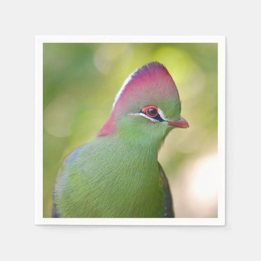 Closeup turaco of fischer servet (Voorkant)