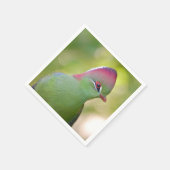 Closeup turaco of fischer servet (Hoek)