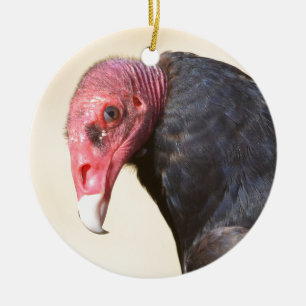 Closeup turkey vulture keramisch ornament