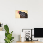 Closeup turkey vulture poster (Thuiskantoor)