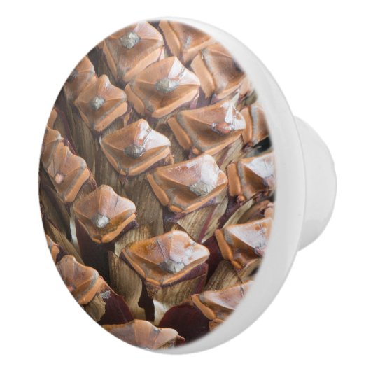 Closeup van pijnkuit keramische knop (Rechts)