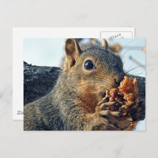 Closeup Yummy Briefkaart (Voorkant / Achterkant)