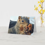 Closeup Yummy Kaart (Gele Bloem)