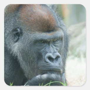 Cloth Placemat Vierkante Sticker