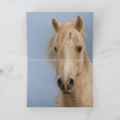 Cloud Comes Up The Hill Wild Horse Wenskaart Kaart (Binnen)