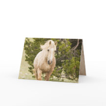 Cloud Comes Up The Hill Wild Horse Wenskaart