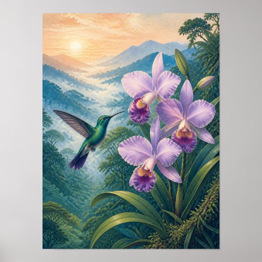 Cloud Forest Kolibrie Orchidee 12x16 Poster (Voorkant)