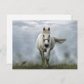 Cloud-foto  wit paard briefkaart (Voorkant / Achterkant)