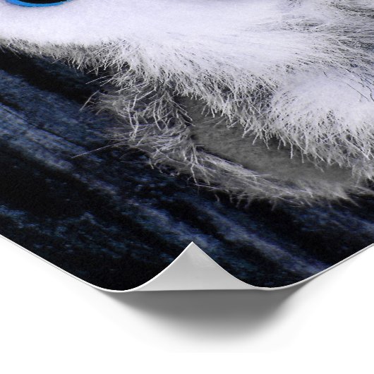 Cloud Gazing (2) Poster (Hoek)