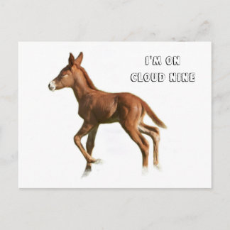 Cloud Nine Briefkaart