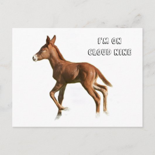 Cloud Nine Briefkaart (Voorkant)