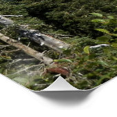 Cloud passeren over Rainier Foto Glossy Perfect Poster (Hoek)