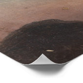 Cloud Study (Clouds in the Sky) (door Knud Baade) Poster (Hoek)