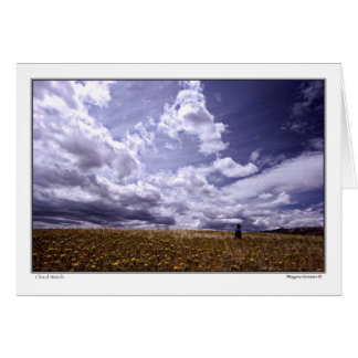 Cloud Watch - Noord-Californië