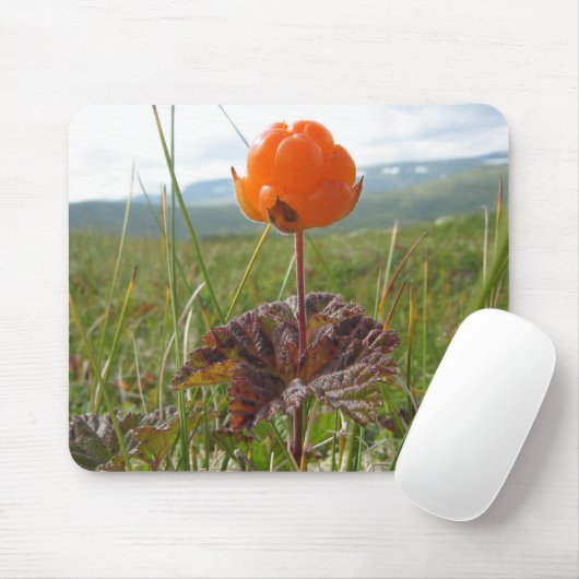 Cloudberry Mousepad Muismat (Met muis)