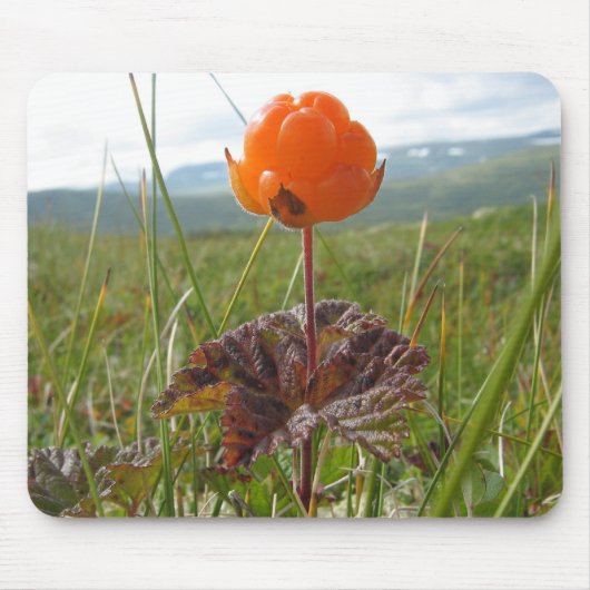 Cloudberry Mousepad Muismat (Voorkant)