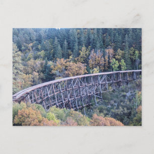 Cloudcroft New Mexico-brug van de bosschouw Briefkaart