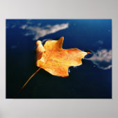 clouddanser (automatisch gerangschikt) poster (Voorkant)