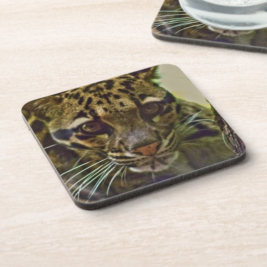 Clouded Leopard Bier Onderzetter (Linkerzijde)
