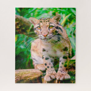 Clouded Leopard Big Cat's Jigsaw Puzzle Legpuzzel