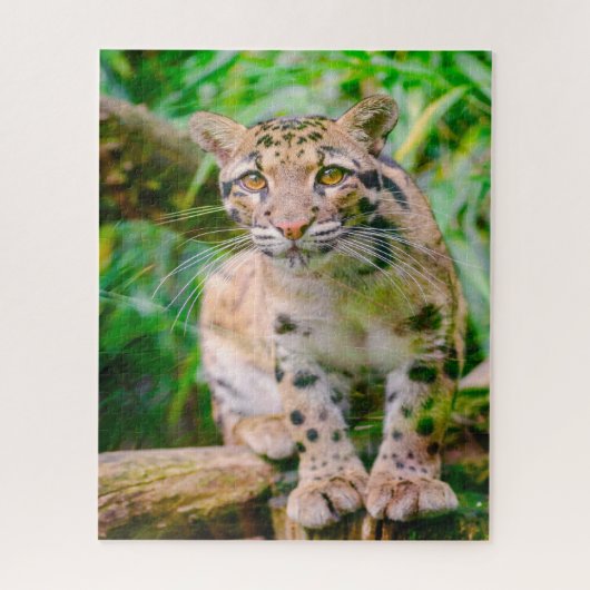 Clouded Leopard Big Cat's Jigsaw Puzzle Legpuzzel (Verticaal)