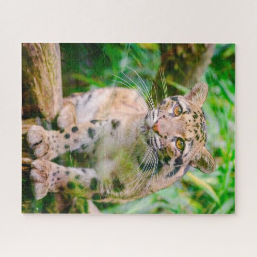 Clouded Leopard Big Cat's Jigsaw Puzzle Legpuzzel (Horizontaal)