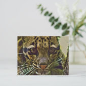 Clouded Leopard Briefkaart (Staand voorkant)