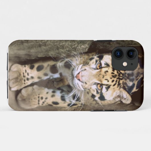 Clouded Leopard Case-Mate iPhone Case (Achterkant (horizontaal))