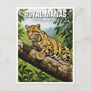 Clouded Leopard in het Royal Manas National Park Briefkaart