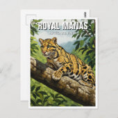 Clouded Leopard in het Royal Manas National Park Briefkaart (Voorkant / Achterkant)