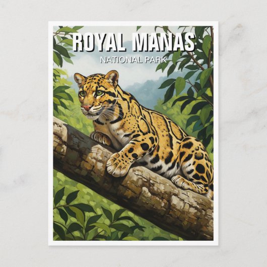 Clouded Leopard in het Royal Manas National Park Briefkaart (Voorkant)