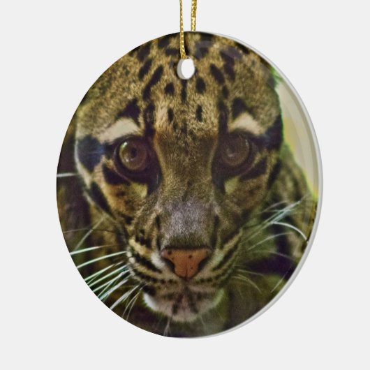 Clouded Leopard Keramisch Ornament (Links)