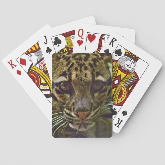 Clouded Leopard Pokerkaarten (Achterkant)