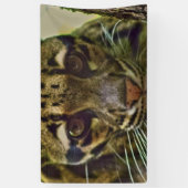 Clouded Leopard Spandoek (Verticaal)