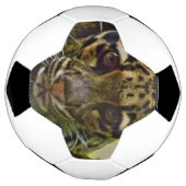 Clouded Leopard Voetbal (Gedraaid)