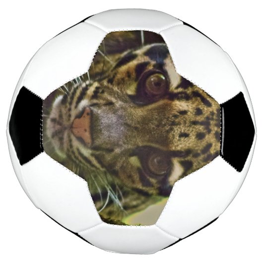 Clouded Leopard Voetbal (Gedraaid)
