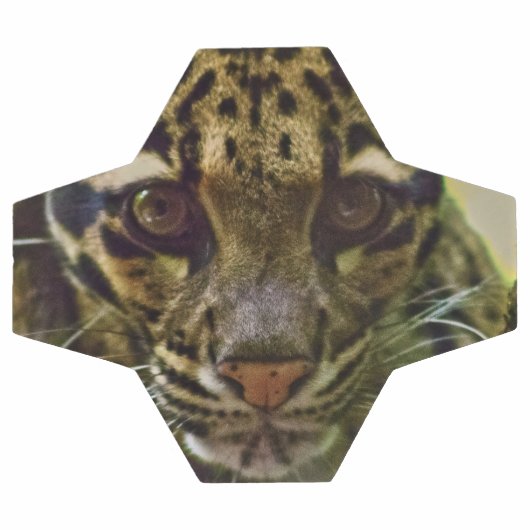 Clouded Leopard Voetbal (Enkel)