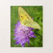 Clouded Yellow Vlinder Foto Puzzel en Cadeau Doos (Verticaal)