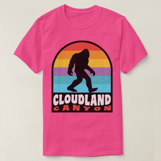 Cloudland Canyon State Park Georgia Wandelen T-shirt (Design voorkant)