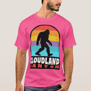 Cloudland Canyon State Park Georgia Wandelen T-shirt