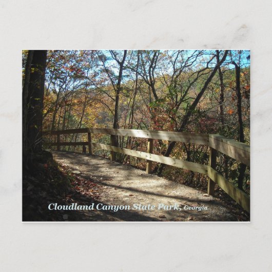 Cloudland Canyon State Park Pathway Postcard Briefkaart (Voorkant)