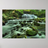 Cloudland Canyon Waterfall Poster (Voorkant)