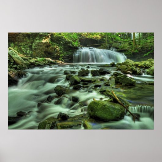 Cloudland Canyon Waterfall Poster (Voorkant)