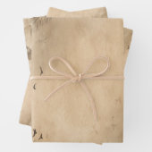 Clouds Birds Feathers Pastel Sky Collage Inpakpapier Vel (In situ)