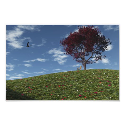 Clouds gaan winkelen door foto's af te drukken foto afdruk (Voorkant)