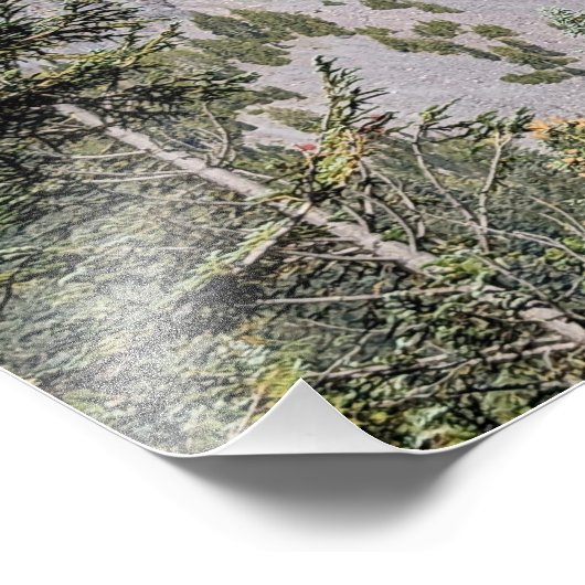 Clouds Over Mount Rainier Scenic Landscape Foto Afdruk (Hoek)