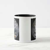 Cloudsimulatie van de volledige Aarde Mok (Midden)